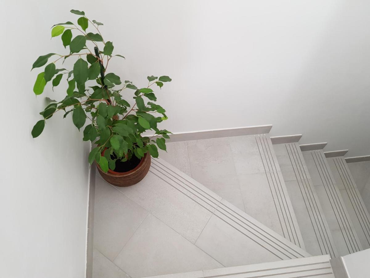Loft Abantos - 120M2 Mas Terraza Y Jardin Independiente 산 로렌소 데 엘 에스코리알 외부 사진